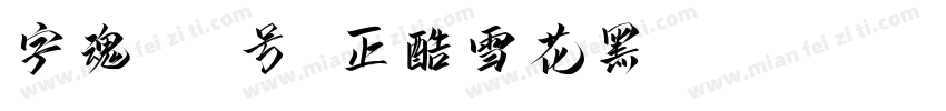 字魂145号 正酷雪花黑 Regular字体转换